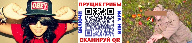 Псилоцибиновые грибы MAGIC MUSHROOMS  Тырныауз 